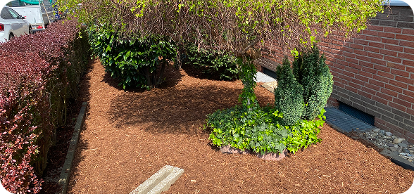 Grundstückspflege Gartenarbeit